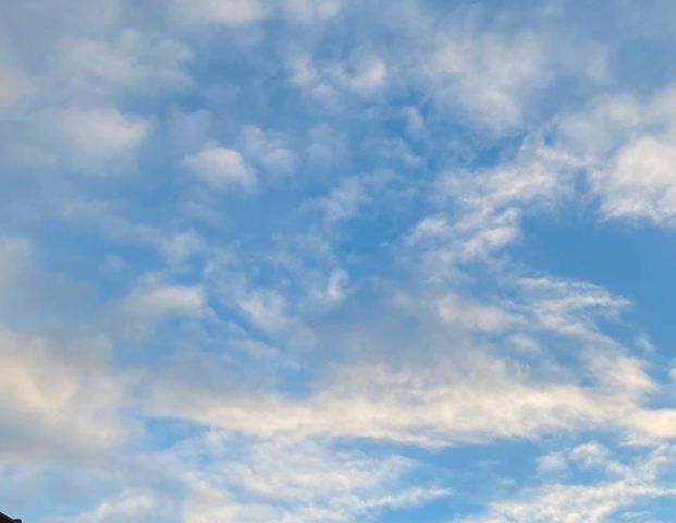 Untermiete 1-Zimmer-Wohnung Dezember - Februar - Photo 1