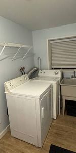 3 Bedroom Basement Suite (49th & Victoria Dr) - Photo 4