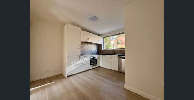 Open: Sat 29th Nov 10:25am - 10:40am - Photo 1