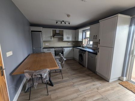 Ivy Mead Mews, Drumahoe, L'Derry, BT47 3FH - Photo 5