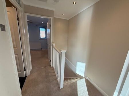 Field Close - Photo 3