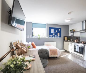 PLUS Superior Studio - Photo 2