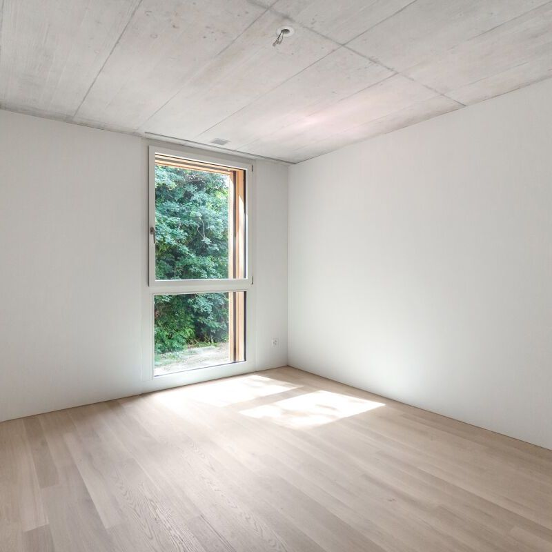 Moderne Wohnung in Seenähe - Foto 1
