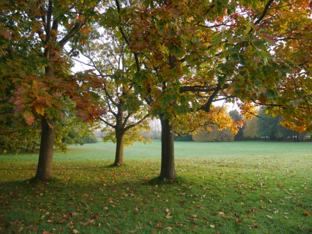 Radhusvägen, Alnarp - Photo 5