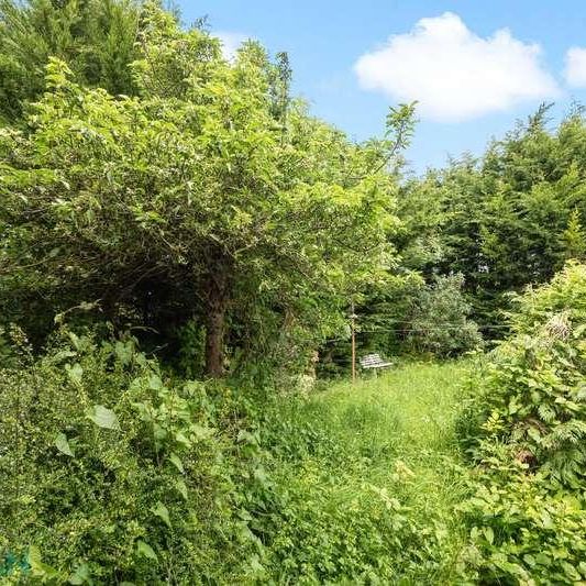 Rushlake Road, Brighton, BN1 - Photo 1