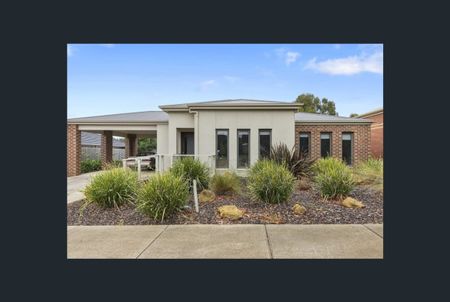 16 Ficinia Mews, HIGHTON VIC 3216 - Photo 3