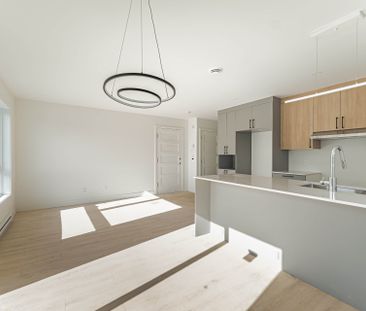 Appartement - 04-2589 Rue De Lorimier - Photo 4