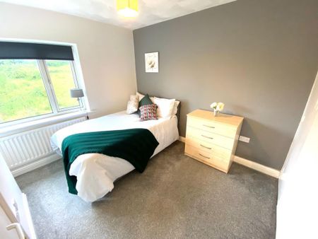 6 bedroom house share to rent - Photo 3