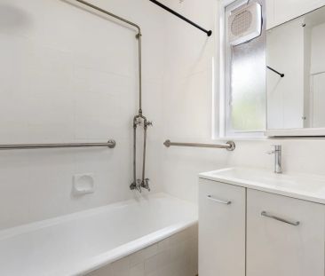 Park Views & Light Filled! - Photo 6