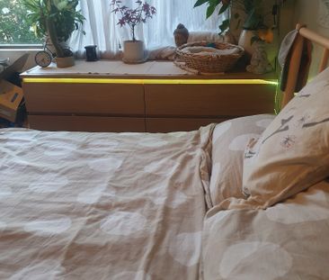 Hurlstone Park - Photo 6