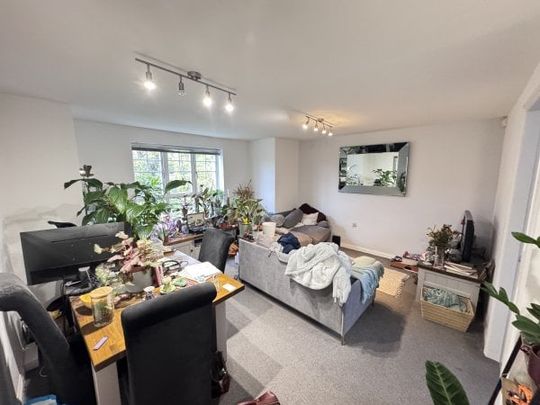 £150 pppw, Aragon Court, Nottingham, Property for rent - Photo 1