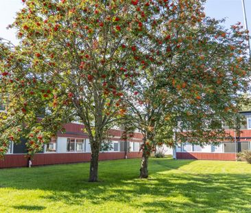 Granbergshöjden 4B - Photo 3