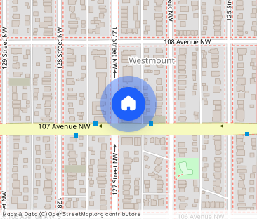 10707-10127 127 St - Photo 1