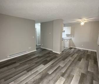 (KMAL1) Pet Friendly Unit Available In Beautiful - Photo 3