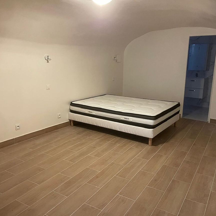 Location Appartement 1 pièce 20m² - Photo 1