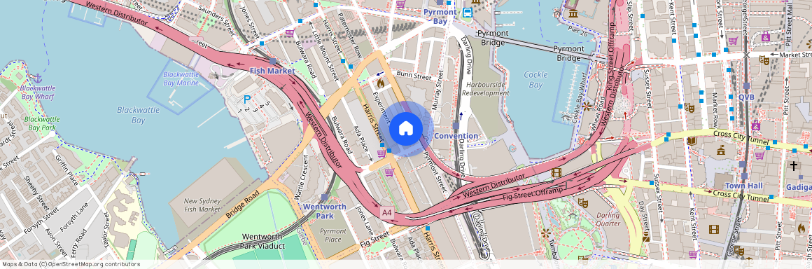 Level8/233 Pyrmont Street, Pyrmont, NSW 2009