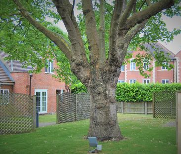 1 Bed Flat, Elms Road, LE2 - Photo 1