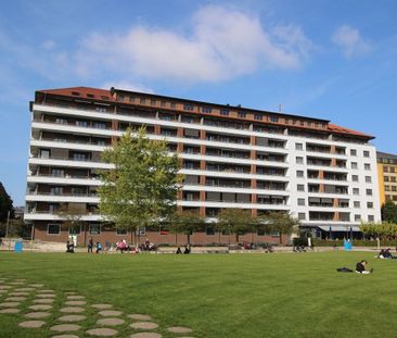 Superb accommodation with stunning views of the Domino park! - Photo 2