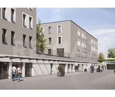 Tout nouveau studio haut de gamme à Avenches-Milavy - Photo 4