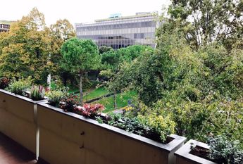 Via Luigi Pellizzo, Padova, Veneto 35128