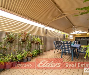 The heart of Waikiki! - Photo 6