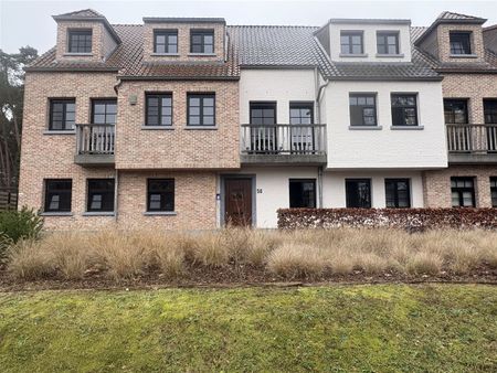 Gebroeders De Winterstraat 58, 2275, Wechelderzande - Photo 5