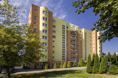 Łódź, Śródmieście, Nowa - Photo 5