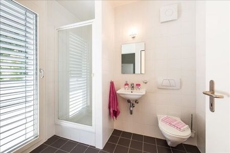 Magnificent duplex penthouse with lake view and large terraces - Photo 4