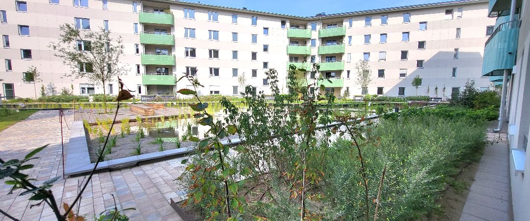 NEUBAU - großzügige Wohnung mit 2 Bädern und schöne Aussicht, barrierefrei - Foto 1