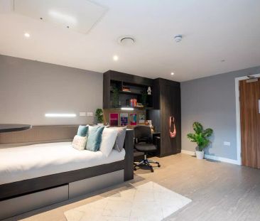 Gold Studio - Photo 5