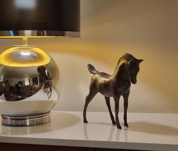 Surry Hills - Photo 1