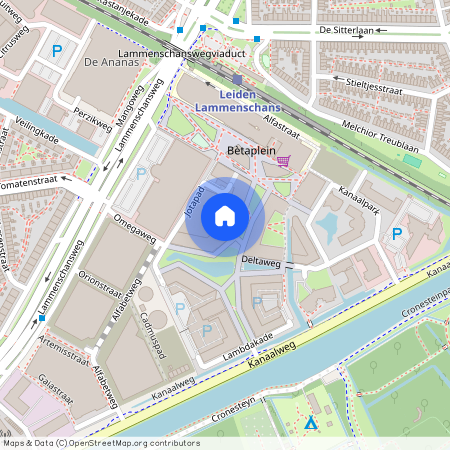 Omegaplantsoen 203, 2321 KT, Leiden