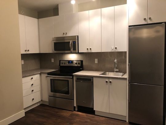 LINDY'S APTS - 411 - L411 - Photo 1