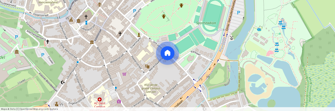 Sint-Janstraat 35, 3290 Diest