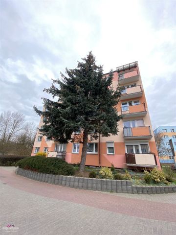 Grudziądz, Rządz Mieszkanie na wynajem - Photo 4