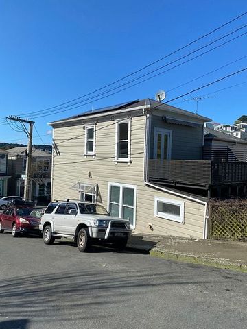 Sunny renovated Aro Valley home - Photo 3