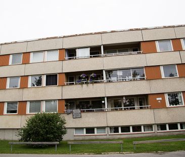 Trädgårdsgatan 3 A, 94161, Piteå - Photo 2
