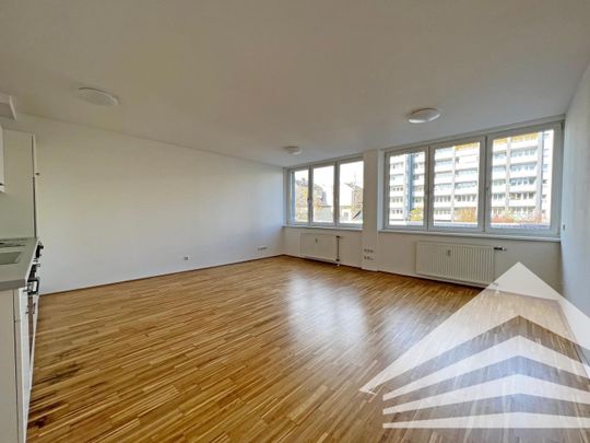 Ruhige 1 Zimmerwohnung mit Küche in der Innenstadt - Nähe Landstraße - Foto 1