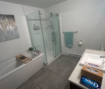 Très grand 4 1/2 à louer 1er juillet 2026 - Photo 3