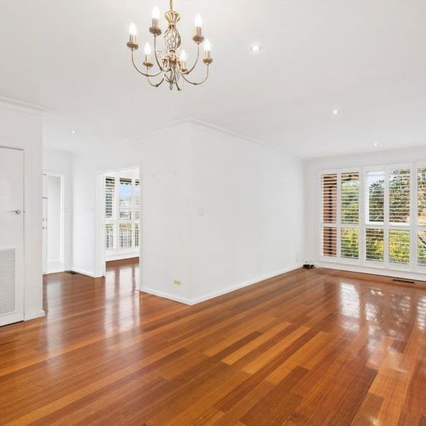 Fully Renovated Family Home within Balwyn High School Zone - Photo 1