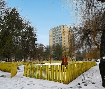 Pronájem bytu 1+1 35 m² - Photo 6