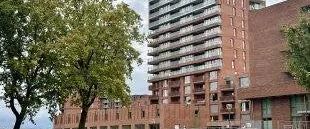 Appartement Meerring, Eindhoven - À louer - Photo 1
