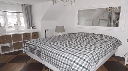 1054 København K - Peder Skrams Gade - Photo 5