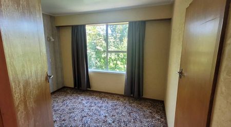 Hey hey its Albert! - Photo 3