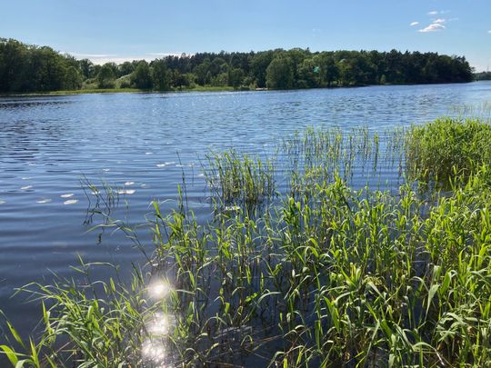 Forshagagatan, Farsta - Photo 1