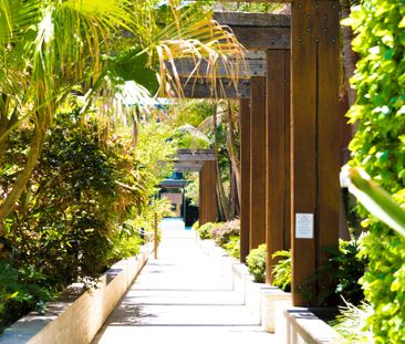 1106b/5 Pope Street, Ryde NSW 2112 - Apartment For Rent | Domain - Photo 4