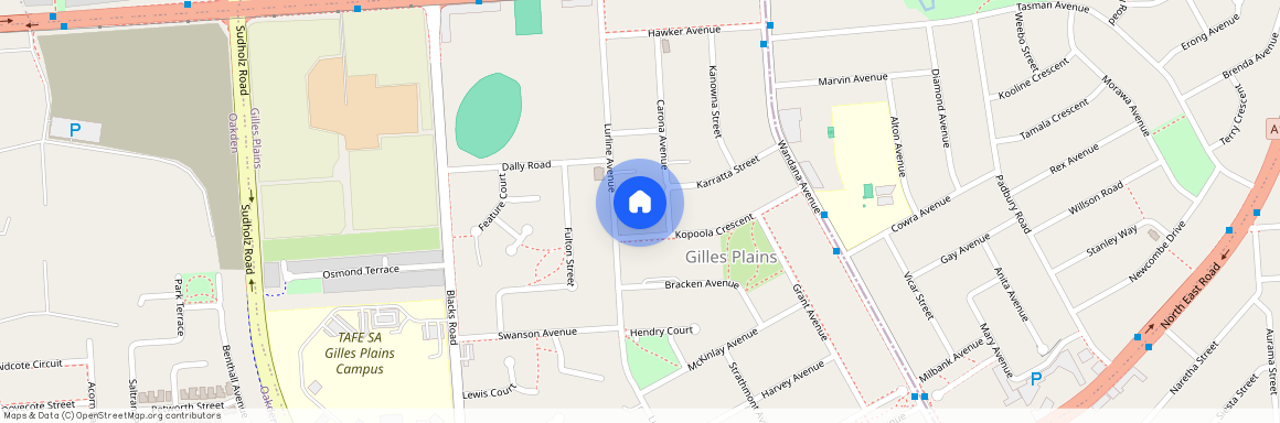 3 Carona Ave, SA 5086, Gilles Plains