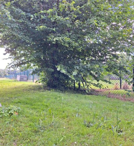 Frisch renovierte gemütliche 3-Raum Wohnung - Photo 5