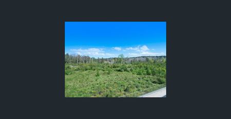 MAGNIFICENT APARTMENT CLOSE TO EVERYTHING! - Photo 5