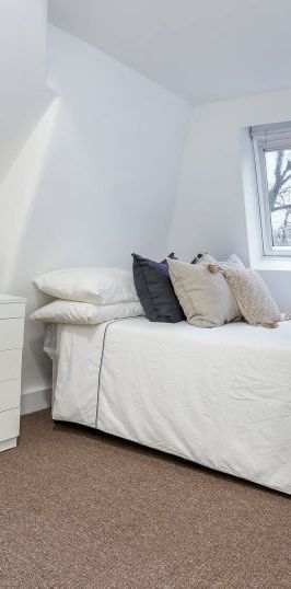 Room in a Shared Flat, Acton Ln, W4 - Photo 1
